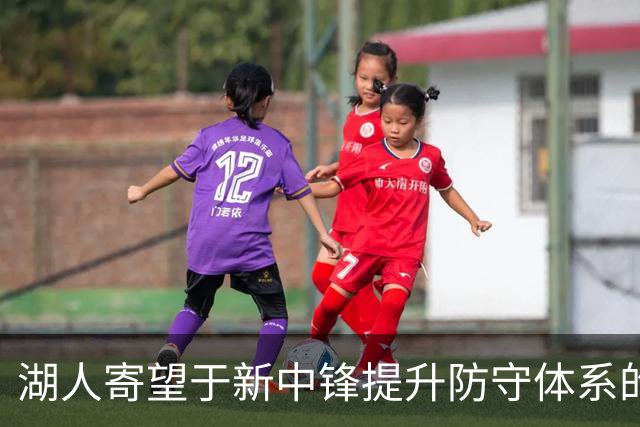 湖人寄望于新中锋提升防守体系的希望之光